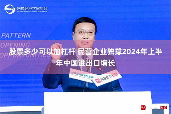 股票多少可以加杠杆 民营企业独撑2024年上半年中国进出口增长