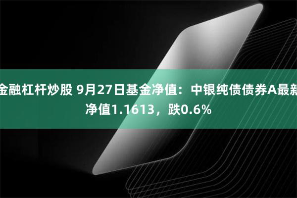 金融杠杆炒股 9月27日基金净值：中银纯债债券A最新净值1.1613，跌0.6%