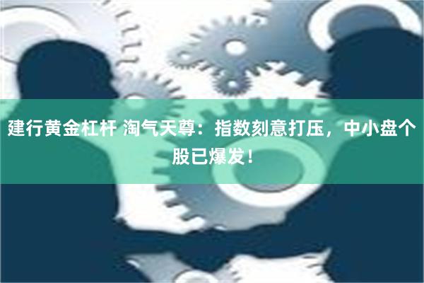 建行黄金杠杆 淘气天尊：指数刻意打压，中小盘个股已爆发！