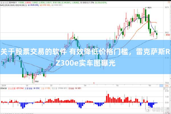 关于股票交易的软件 有效降低价格门槛，雷克萨斯RZ300e实车图曝光