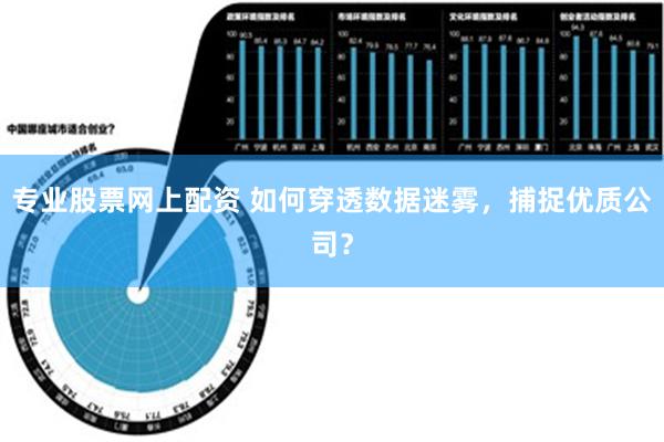 专业股票网上配资 如何穿透数据迷雾，捕捉优质公司？