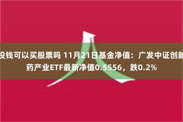 没钱可以买股票吗 11月21日基金净值：广发中证创新药产业ETF最新净值0.5556，跌0.2%