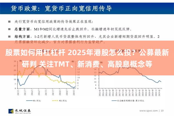 股票如何用杠杠杆 2025年港股怎么投？公募最新研判 关注TMT、新消费、高股息概念等