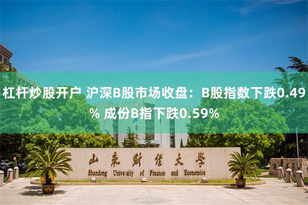 杠杆炒股开户 沪深B股市场收盘：B股指数下跌0.49% 成份B指下跌0.59%